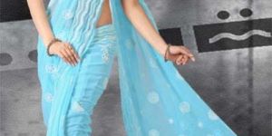 Ladies Chikan Embroidered Sarees