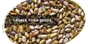 Cassia Tora Seeds