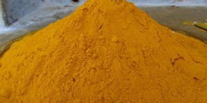 Erode Turmeric Powder