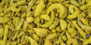 Powder Quality Turmeric