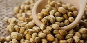Coriander Seeds