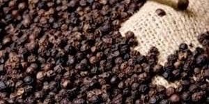 Black Pepper Seeds