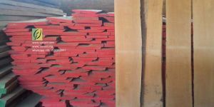 Steamed Beech Timber