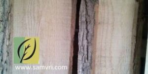 White Ash Timber