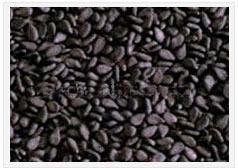 Indian NATURAL SESAME SEEDS BLACK