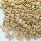 Indian NATURAL SESAME SEEDS WHITE
