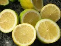 Fresh Seedless Lemon
