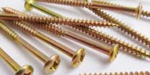 Galvanized Screw