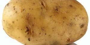 Fresh Potato