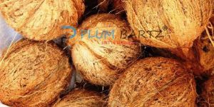 Semi Husked Coconut