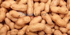 Shelled Peanuts