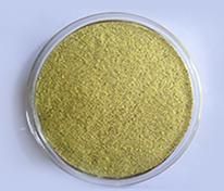 Cassia Tora Powder