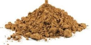 Oyster Mushroom Powder