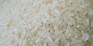 Boiled Sona Masoori Rice