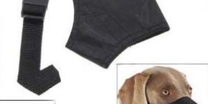 Dog Muzzles