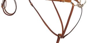 Horse Martingale
