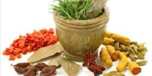 Allernil Ayurvedic Medicines