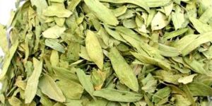 Senna Leaves