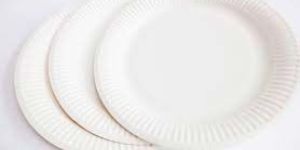 Disposable Paper Plates