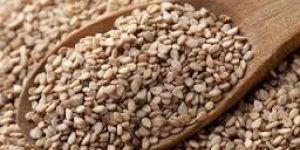Sesame Seeds