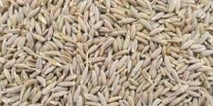 Cumin Seeds
