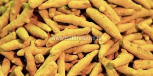 Turmeric Finger