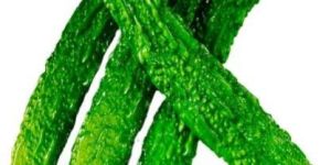 Bitter Gourd