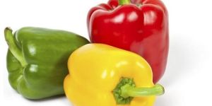 Color Capsicum