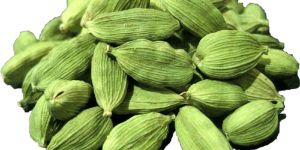 Cardamom