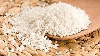 Sago Seeds