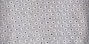 Embroidered Cotton Fabric