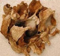 Dry Mushroom