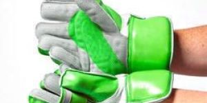 Wicket Keeping Gloves