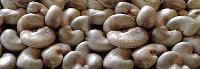 Raw Cashew