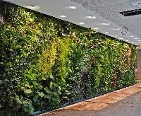 Vertical Garden