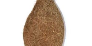 Nest Weaver Bird Original