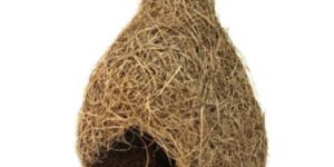 Original Weaver Bird Nest (Swing)