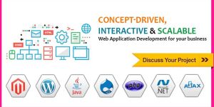 Software Development Service