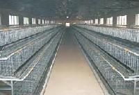 Poultry Cages