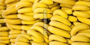 Fresh Banana
