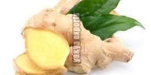 Fresh Ginger