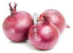 Fresh Red Onion