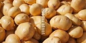Fresh Potato