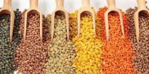 Indian Pulses