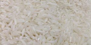 Non Basmati Rice