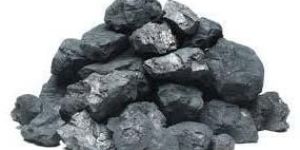Steam Coal