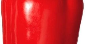 Red Capsicum