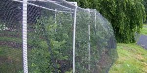 Bird Net Installation Service