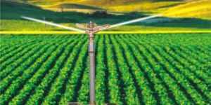 Sprinkler Irrigation System