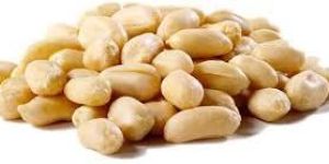 Blanched Roasted Peanuts